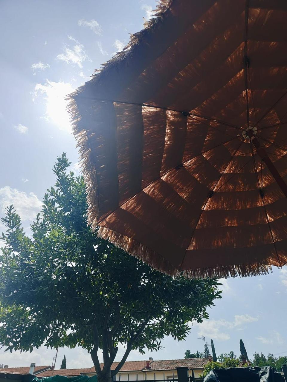 B&B Esterofili Carmignano Ngoại thất bức ảnh